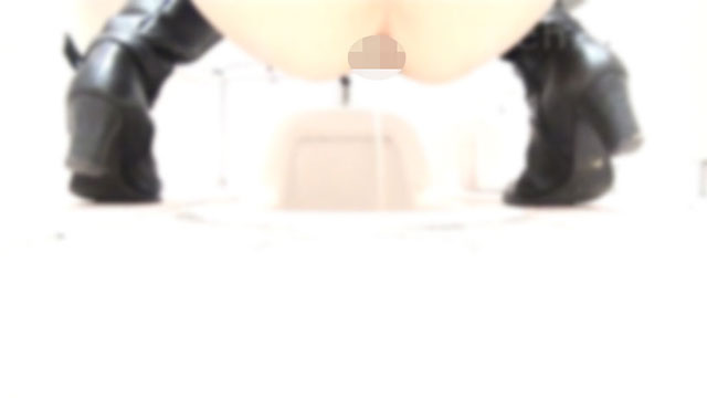 至高下半身盗撮 -PREMIUM- Vol.29